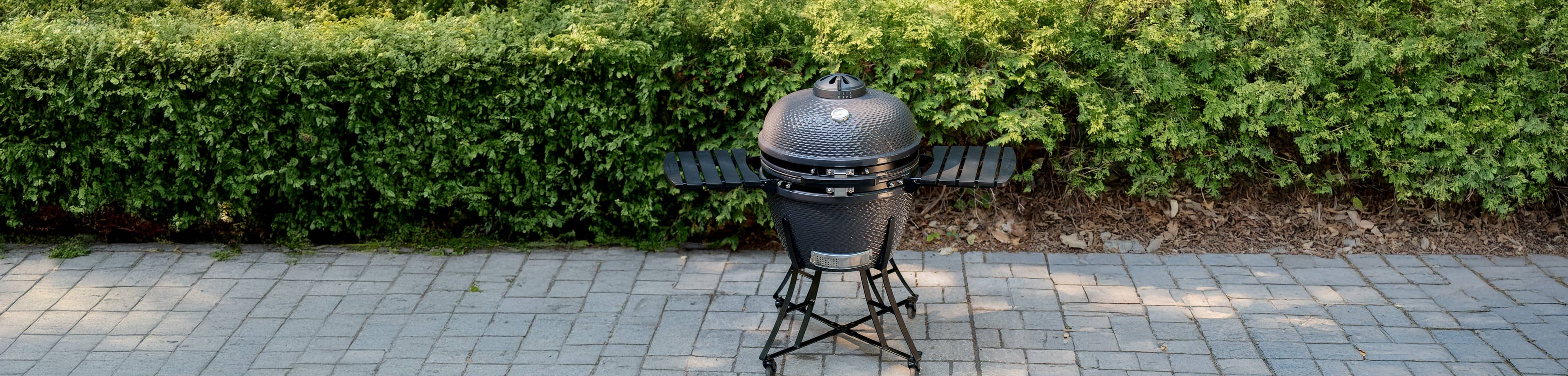 BBQ au charbon