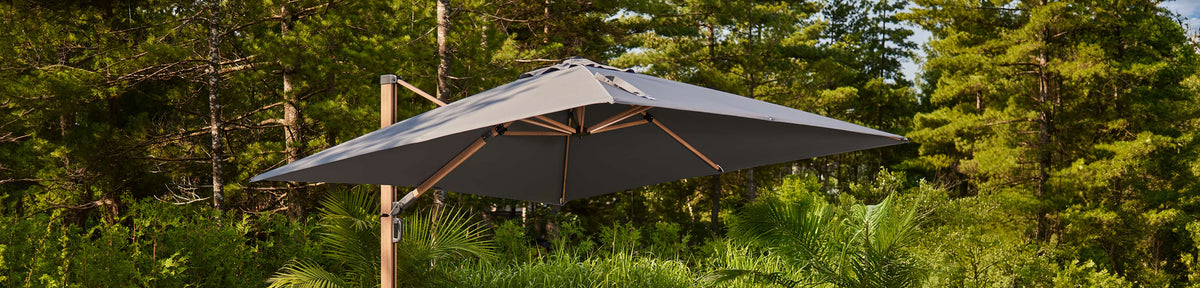 Parasols et bases