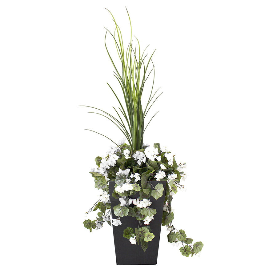 Jardinière extérieure en pot - Arrangement floral Géranium