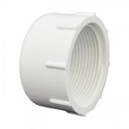 FIPT Plug