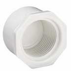 FIPT Plug