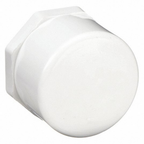 FIPT Plug