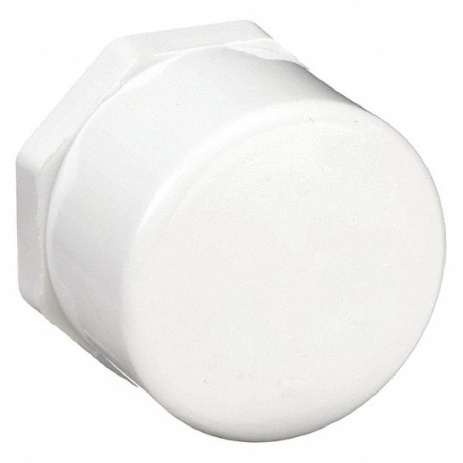 FIPT Plug