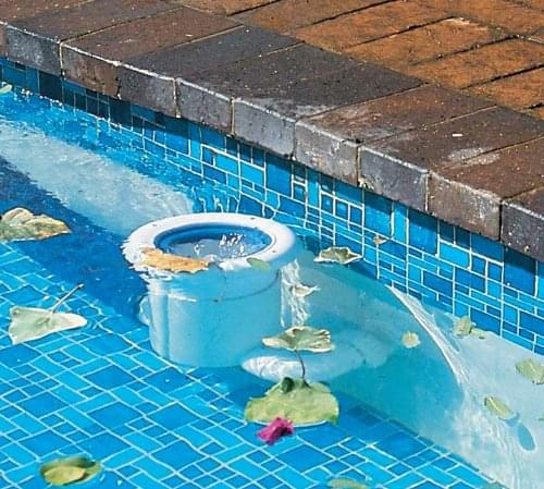 Écumoire amovible PoolSkim