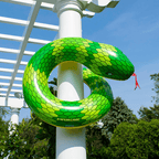 Snake Inflatable Pool Ring