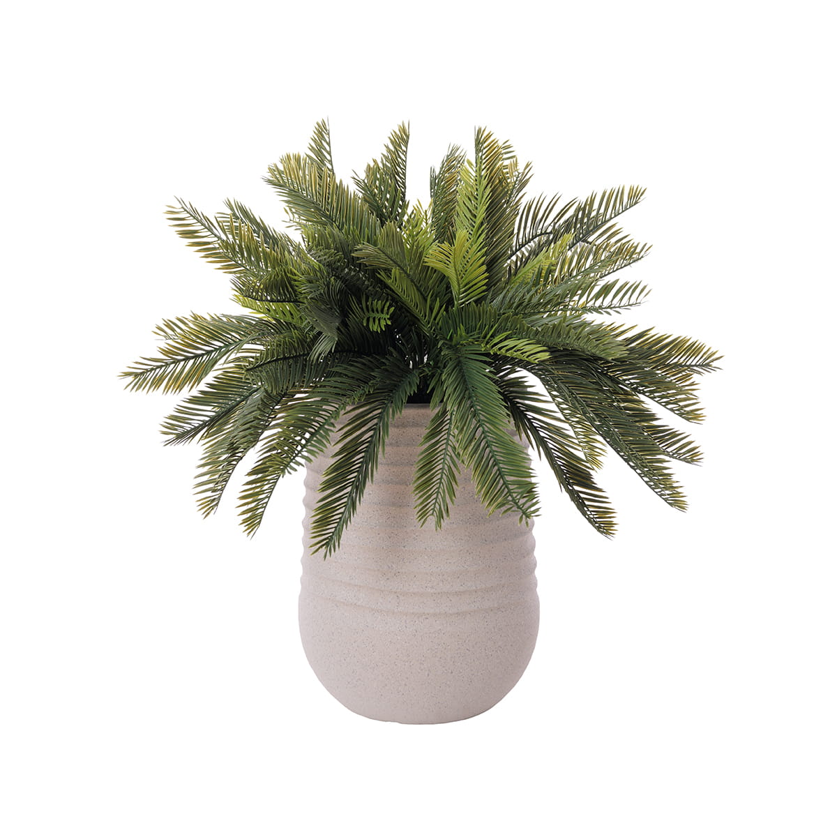 Artificial Cycas Arrangement