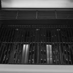 BBQ au gaz Flameo 300 - 30â€¯000â€¯BTU