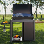 Bergerac 3000 Gas Plancha