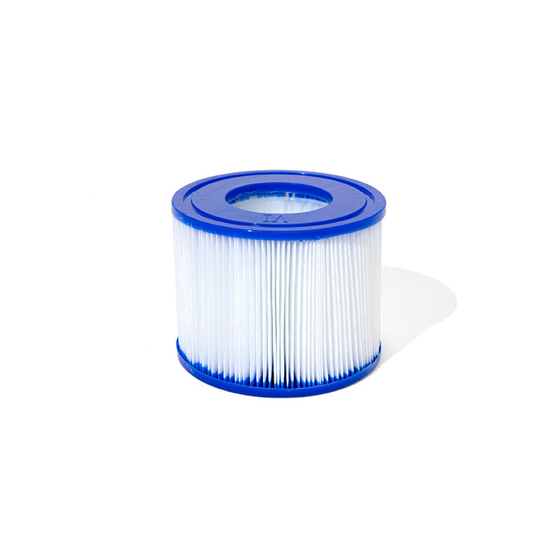 Filtres pour spa gonflable Saluspa (lot de 2)