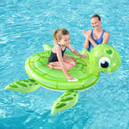 Gonflable petite tortue