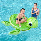 Gonflable petite tortue