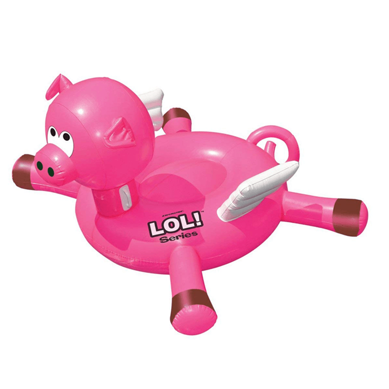 Flying Pig Pool Float