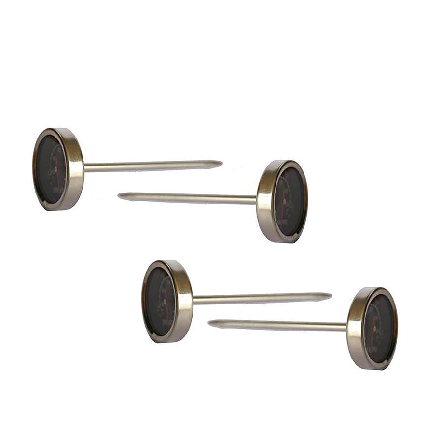 Thermomètre pour viande pour BBQ