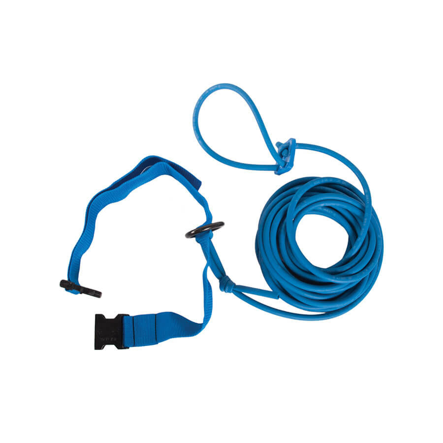 Training Belt