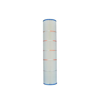 Cartouche pour Filtreur Hayward (PA131)