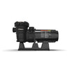 Pompe Polaris Forza 150 pour piscine hors terre (1,5 CV)