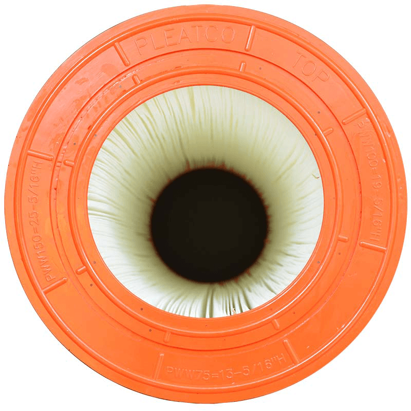 Waterway Filter Cartridge (PWW150)