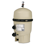Clean and Clear Plus Cartridge Filter