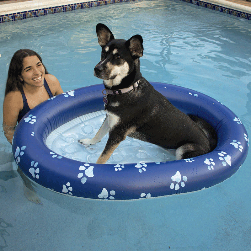 Pet Inflatable Ride-On
