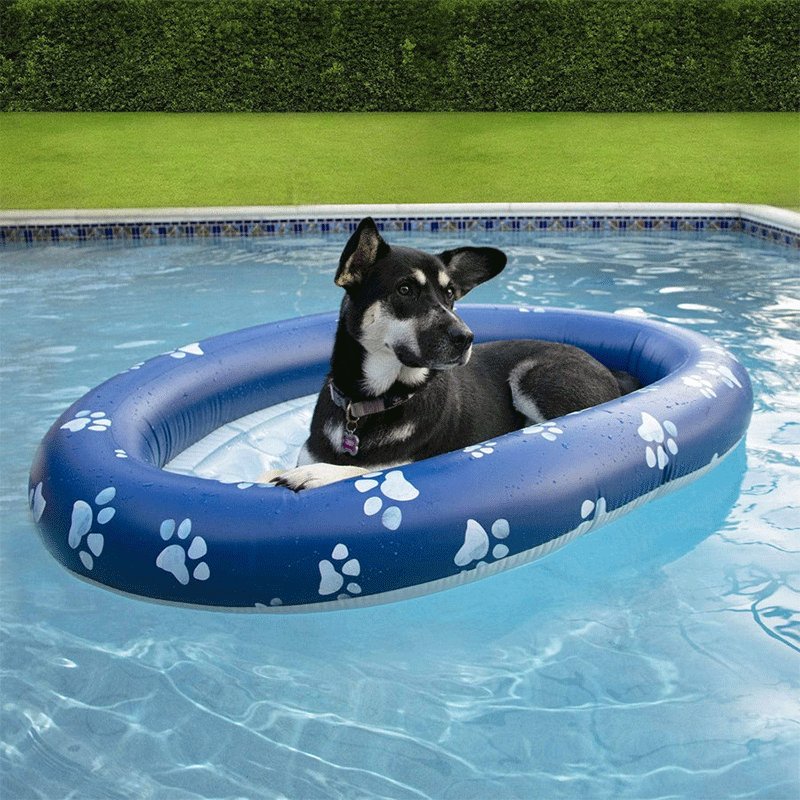 Pet Inflatable Ride-On