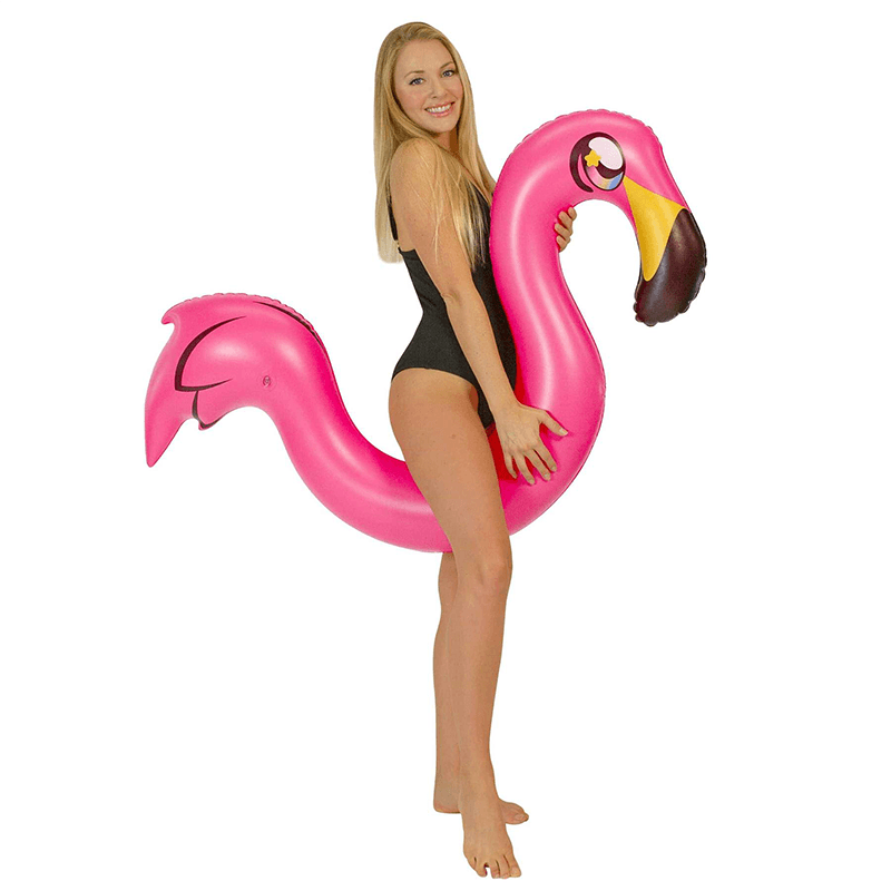 Nouille gonflable flamant rose
