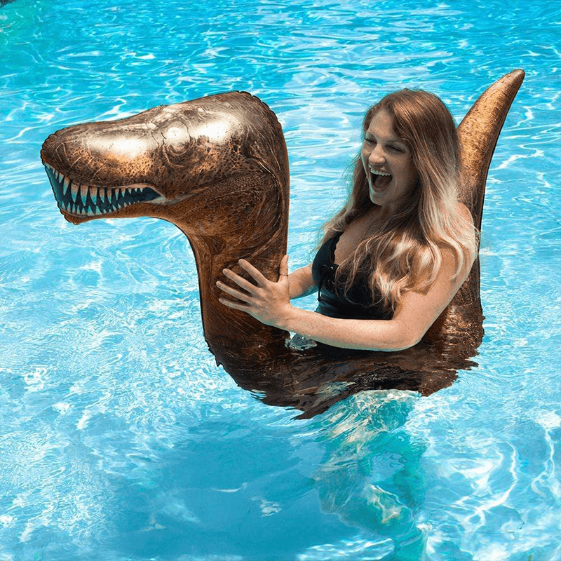 Inflatable Ride-On T-Rex Pool Noodle
