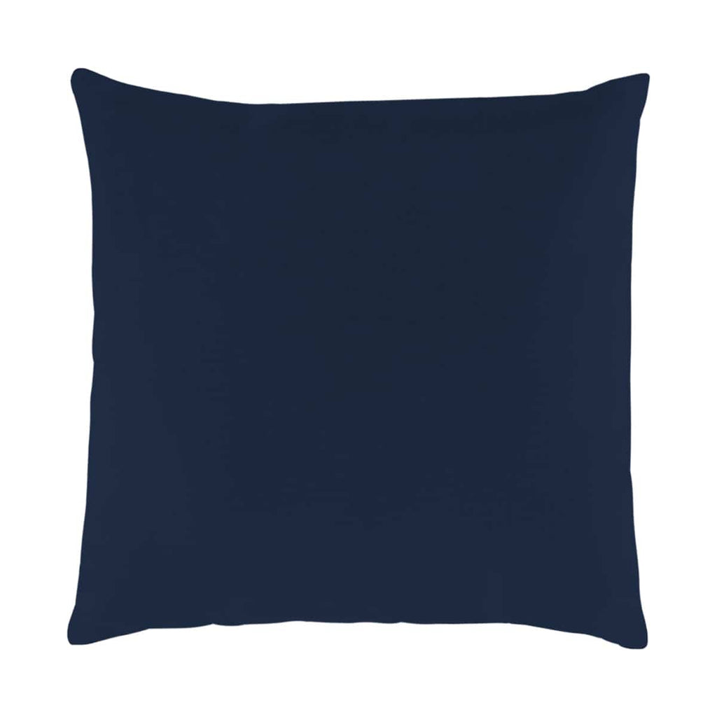 Blue Raspberry Outdoor Cushion - 18 x 18 in.
