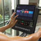Schwinn 190 Upright Bike