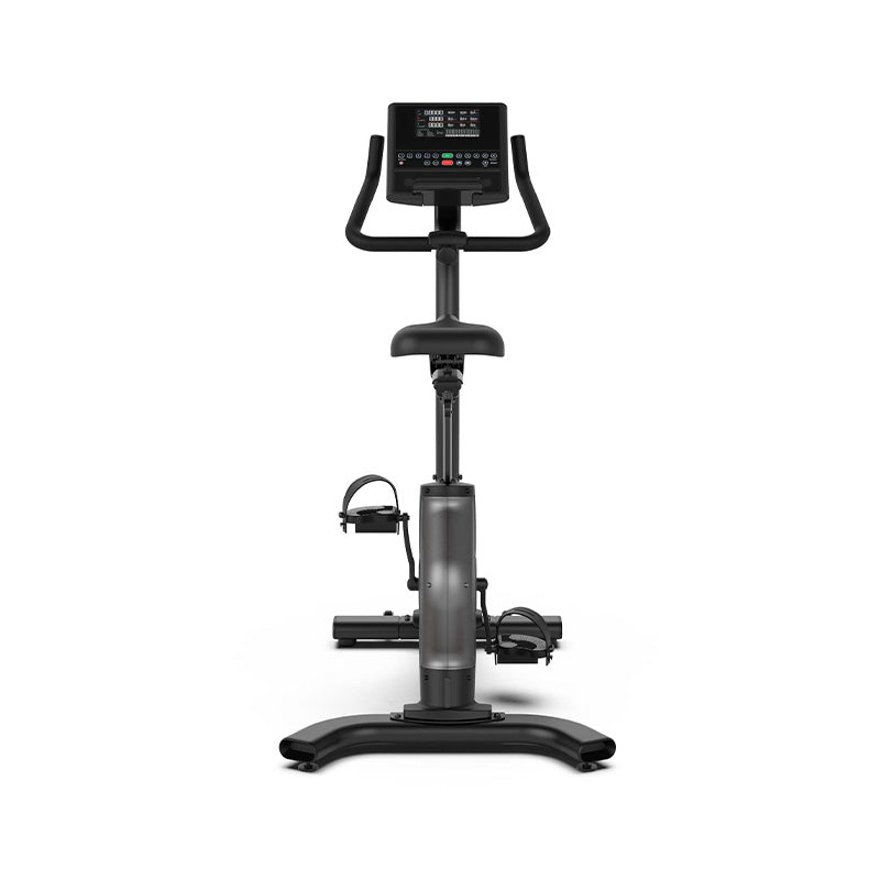 Schwinn 190 Upright Bike