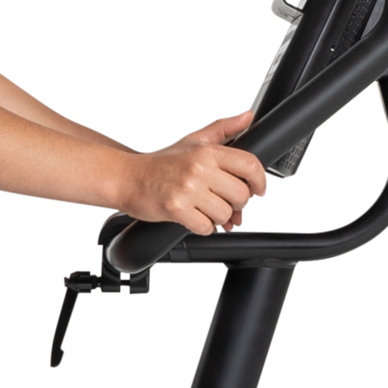 Schwinn 190 Upright Bike