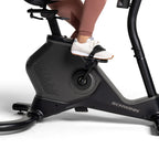 Schwinn 190 Upright Bike