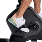 Schwinn 190 Upright Bike