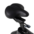 Schwinn 190 Upright Bike