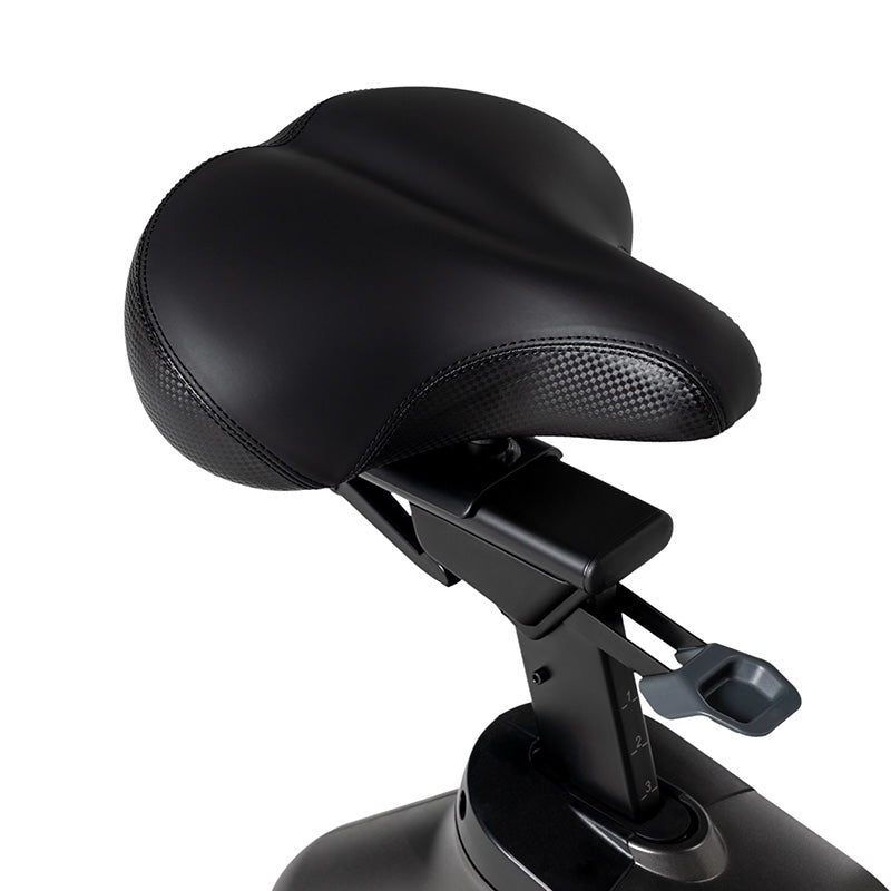 Schwinn 190 Upright Bike