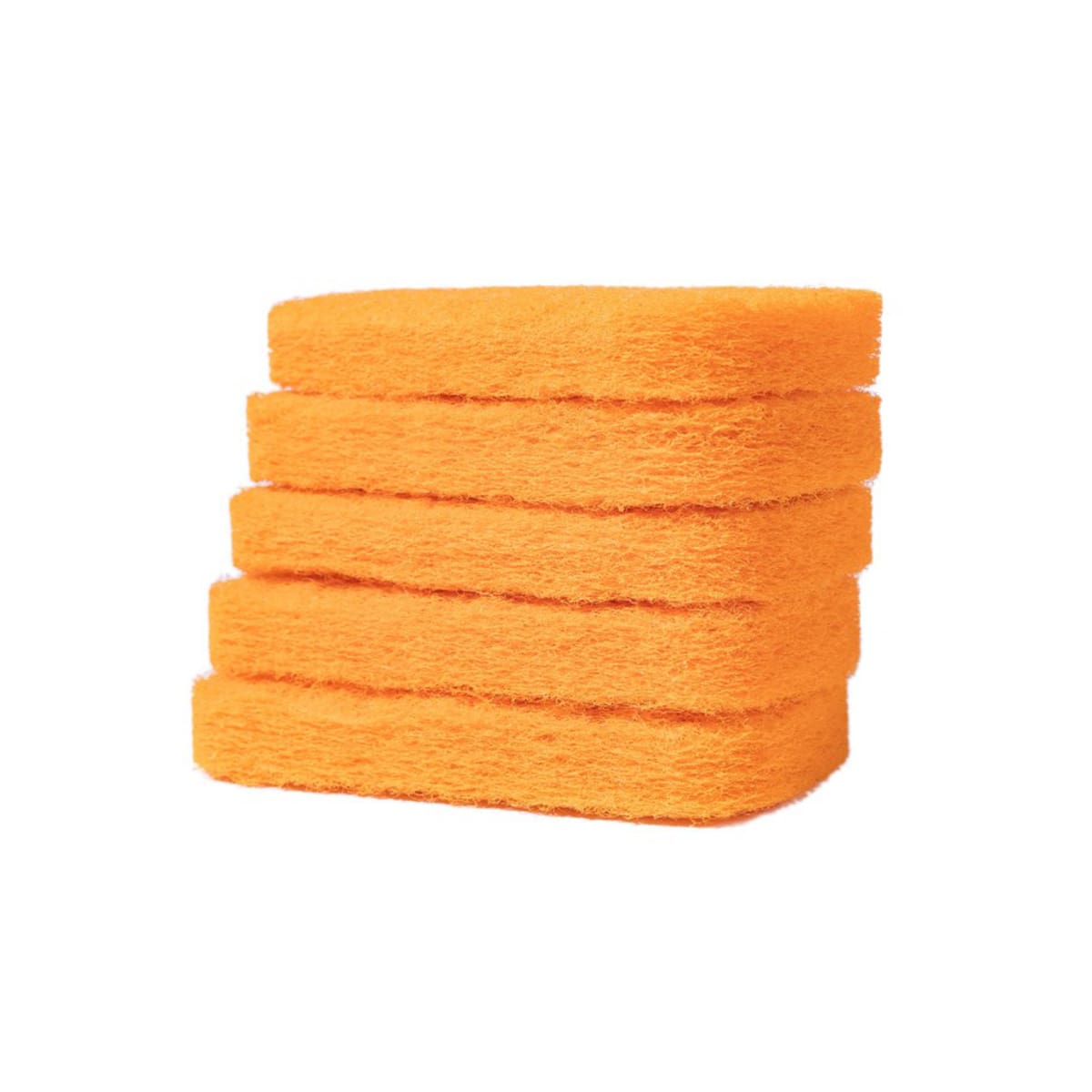 Replacement Cleaning Pads