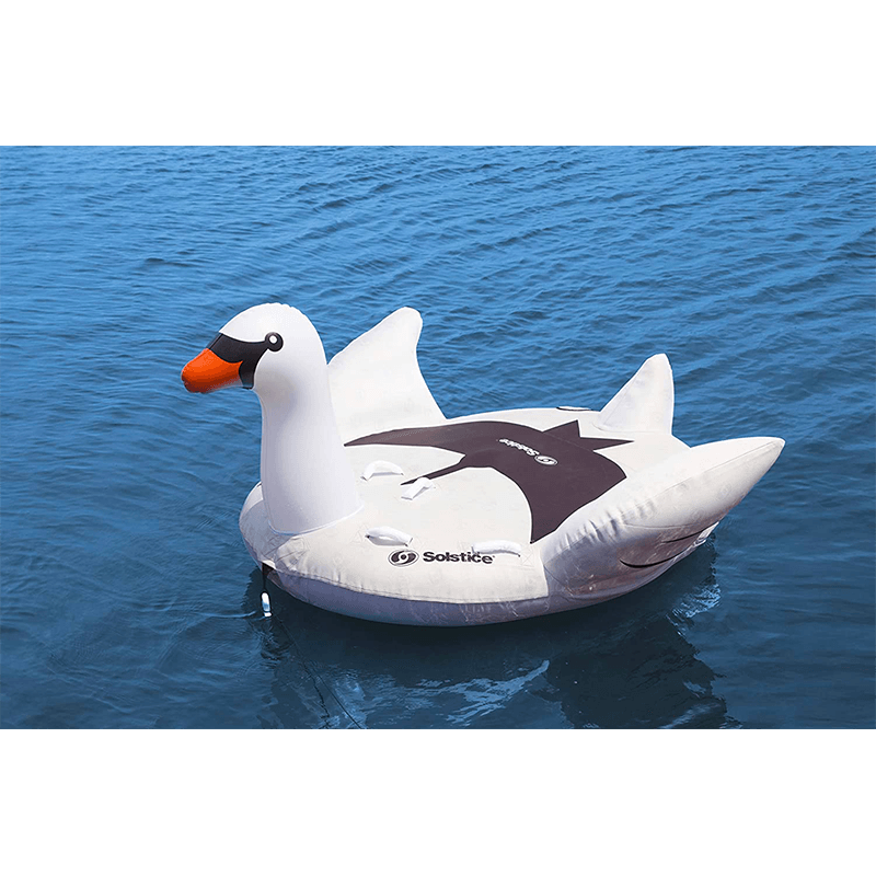 Swan Pool Float