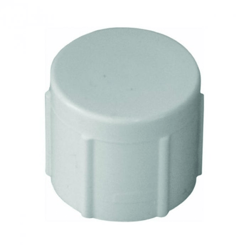 Threaded Cap - FIPT
