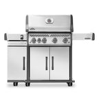 Cabinet de rangement pour BBQ Rogue Pro