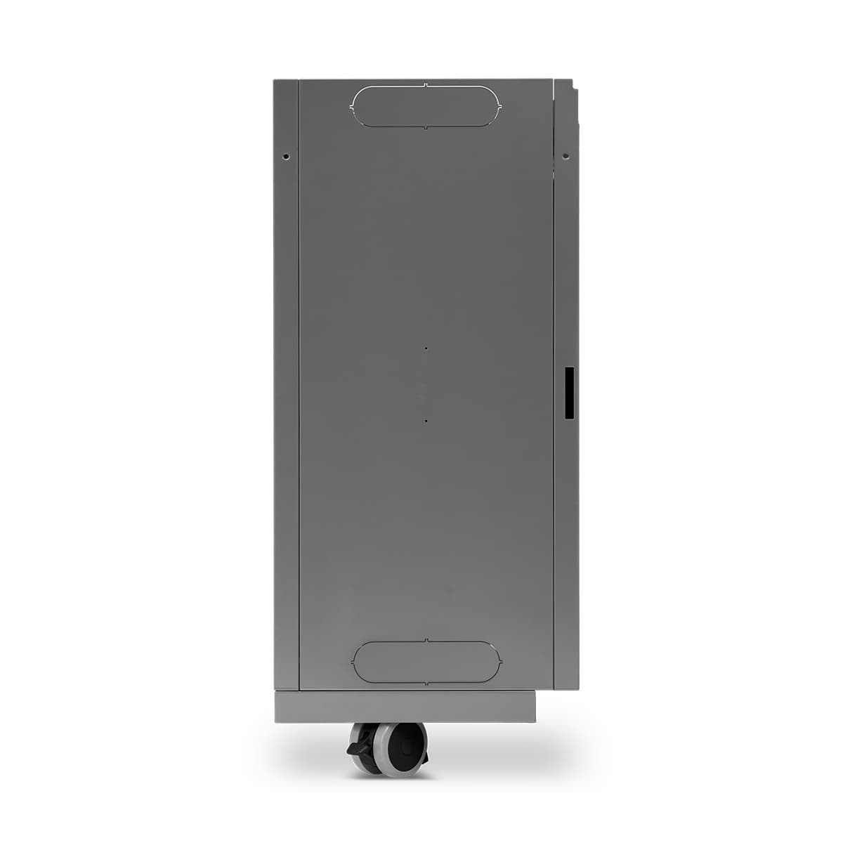 Cabinet de rangement pour BBQ Rogue Pro