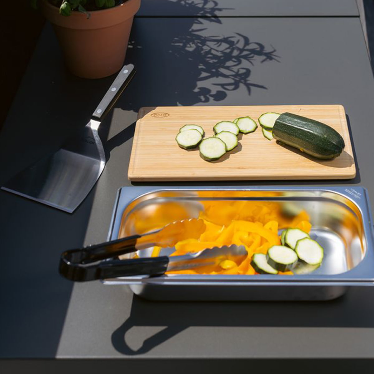 Chef's Plancha Grilling Set