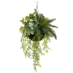 Jardinière suspendue - Fittonia artificiel