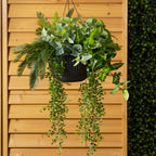 Jardinière suspendue - Fittonia artificiel
