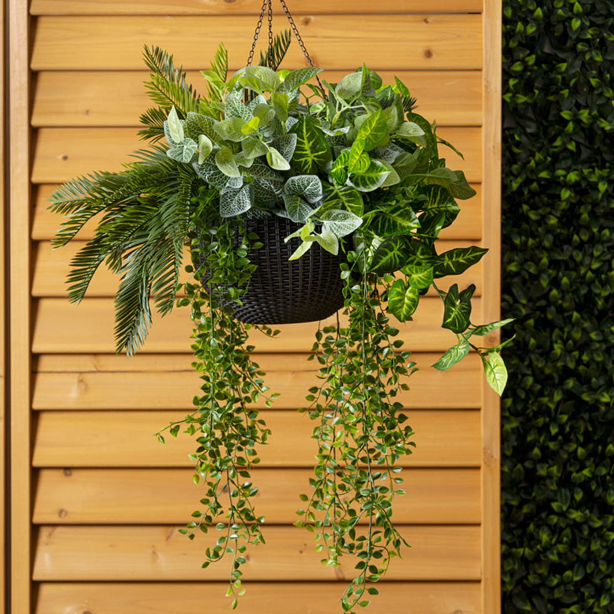 Jardinière suspendue - Fittonia artificiel