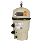 Clean and Clear Plus Cartridge Filter