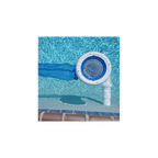 Écumoire amovible PoolSkim
