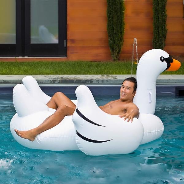 Giant Swan Inflatable Ride-On