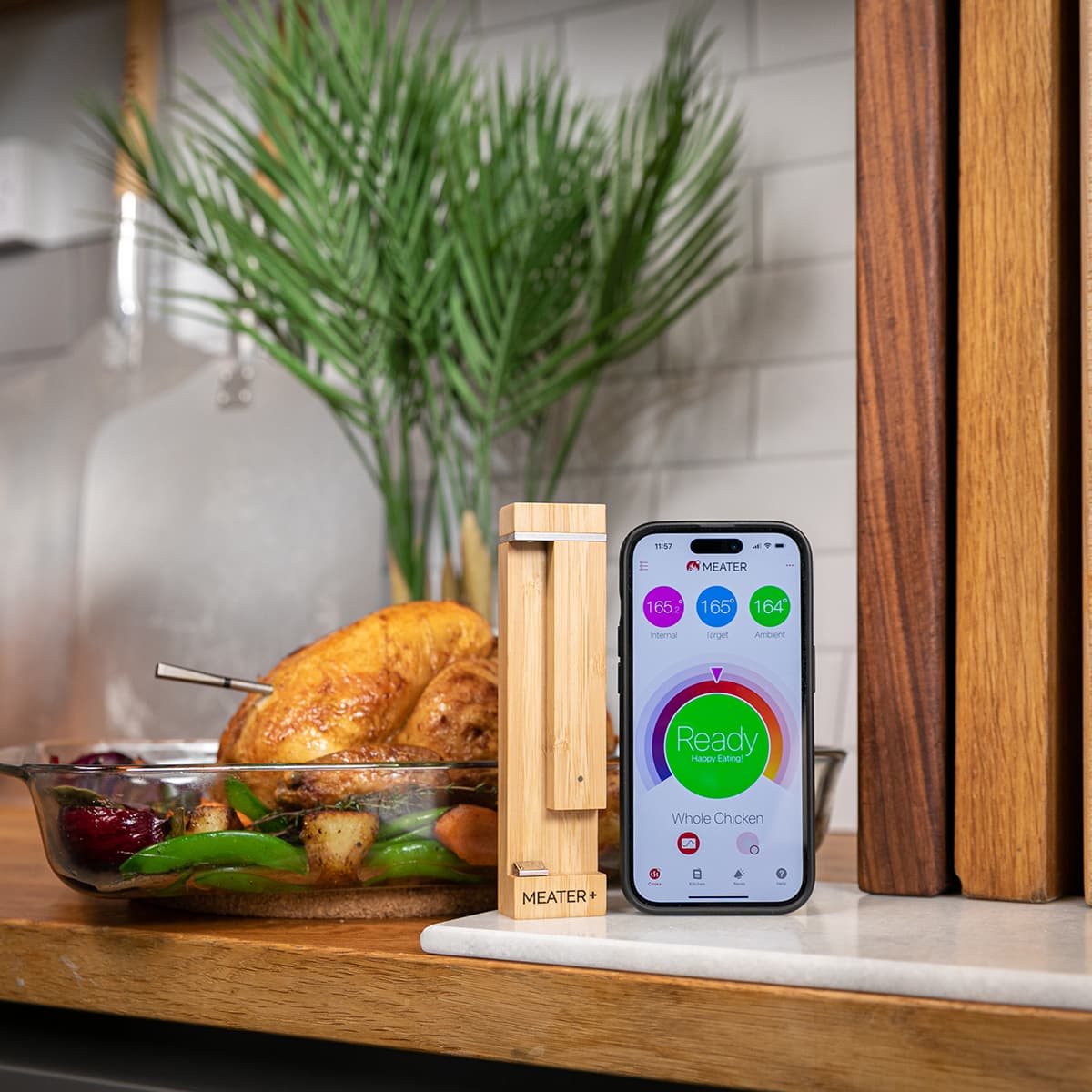 Thermomètre intelligent Meater PRO Bluetooth pour BBQ