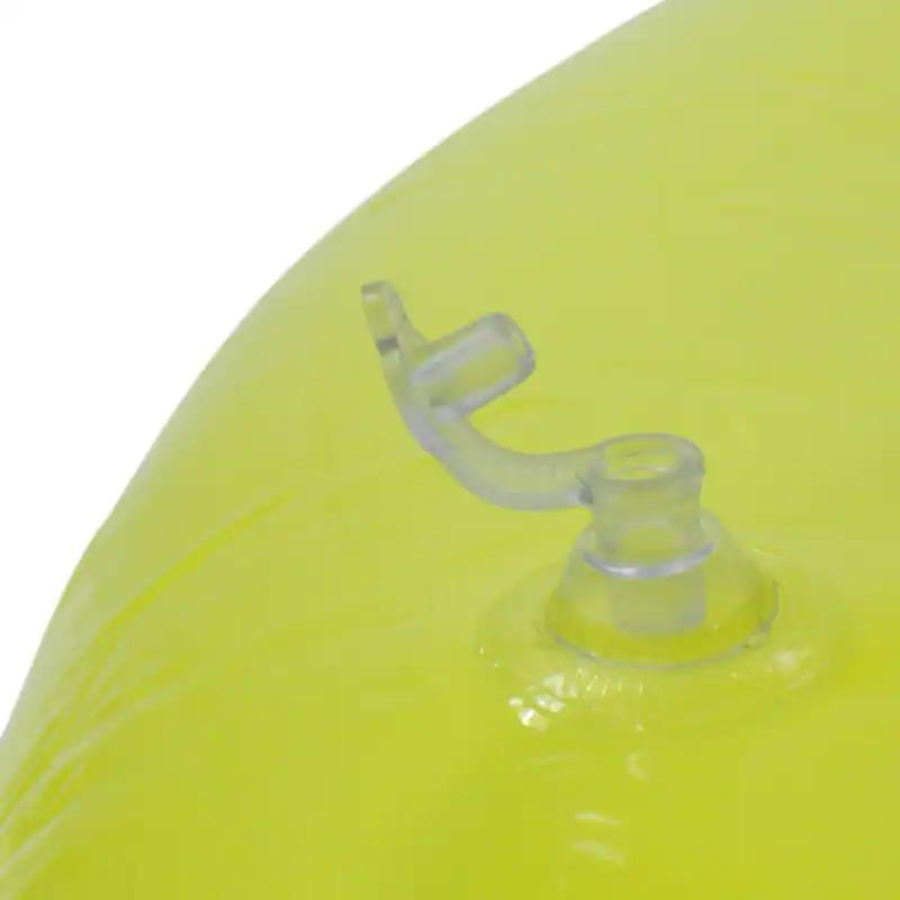 Bright Inflatable Pool Ring