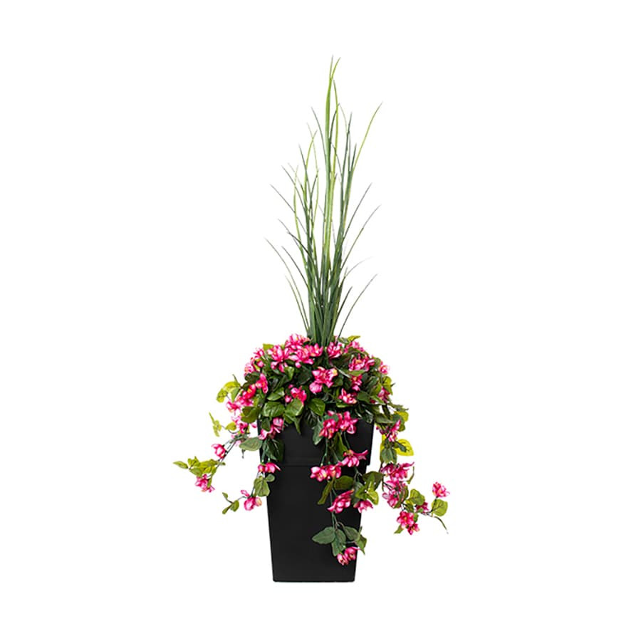 Flower arrangement in a pot - Light pink Azalea | Club Piscine Super Fitness