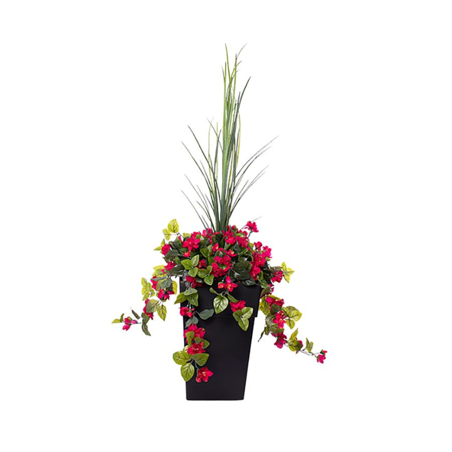 Flower arrangement in a pot - Dark pink Azalea | Club Piscine Super Fitness